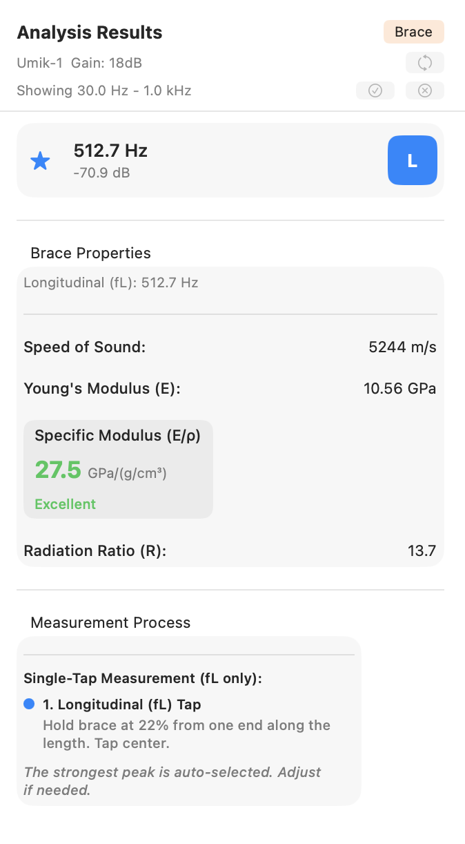 Brace Results panel showing the three sections — Detected Peaks (single L row), Brace Properties, and Brace Process Instructions.